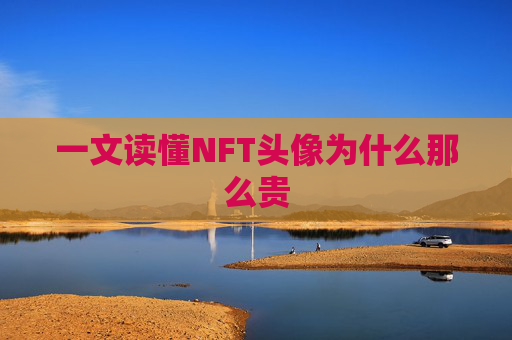 一文读懂NFT头像为什么那么贵