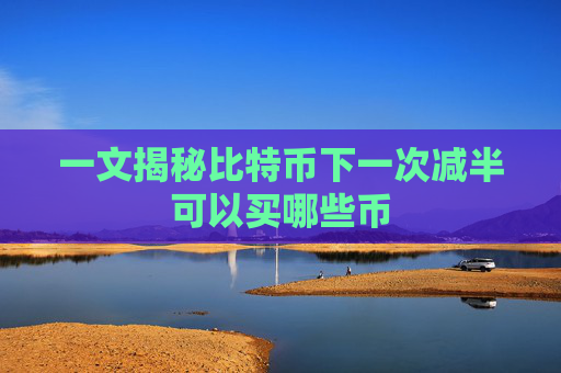 一文揭秘比特币下一次减半可以买哪些币