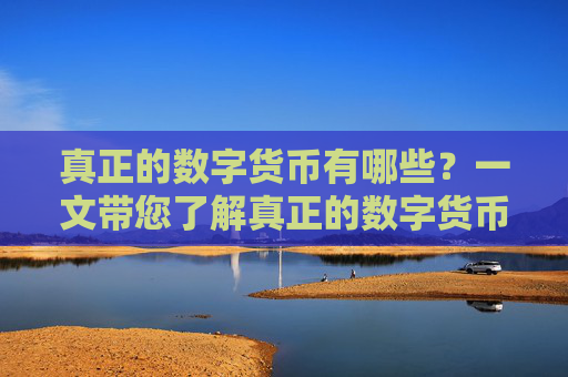 真正的数字货币有哪些？一文带您了解真正的数字货币