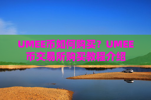 UMEE币如何购买？UMEE币交易所购买教程介绍