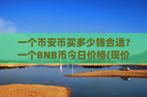 一个币安币买多少钱合适?一个BNB币今日价格(现价4970.7元)