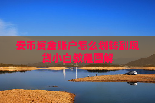 安币资金账户怎么划转到现货小白教程图解