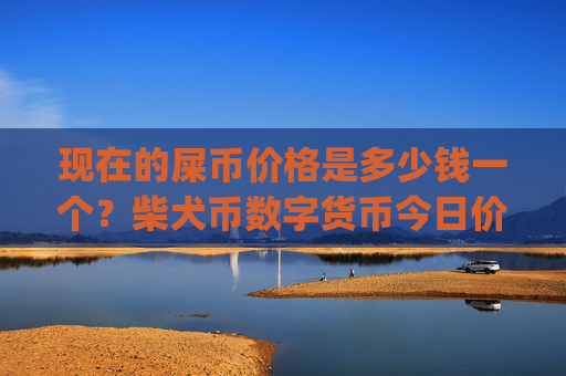 现在的屎币价格是多少钱一个?柴犬币数字货币今日价格(现价0.00016707元)