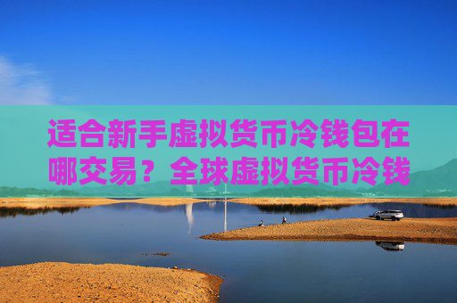 适合新手虚拟货币冷钱包在哪交易?全球虚拟货币冷钱包榜单