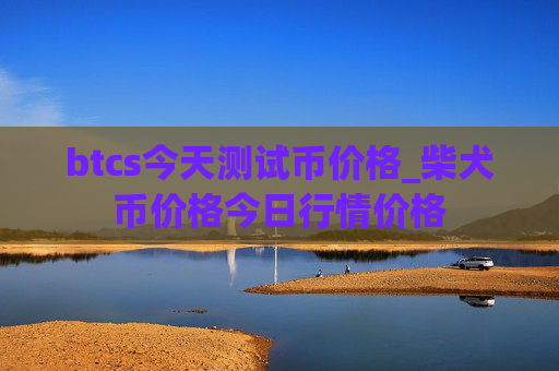 btcs今天测试币价格_柴犬币价格今日行情价格
