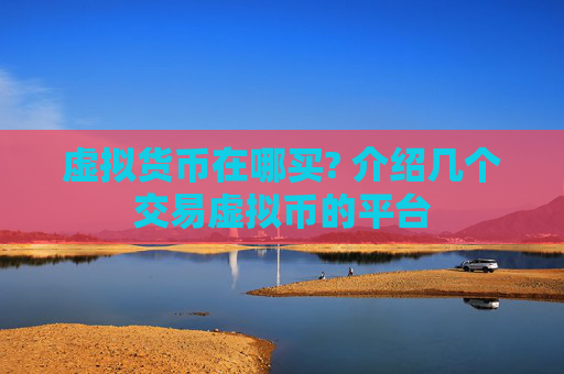 虚拟货币在哪买? 介绍几个交易虚拟币的平台