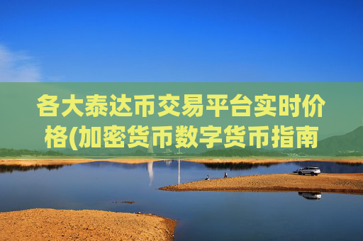 各大泰达币交易平台实时价格(加密货币数字货币指南)