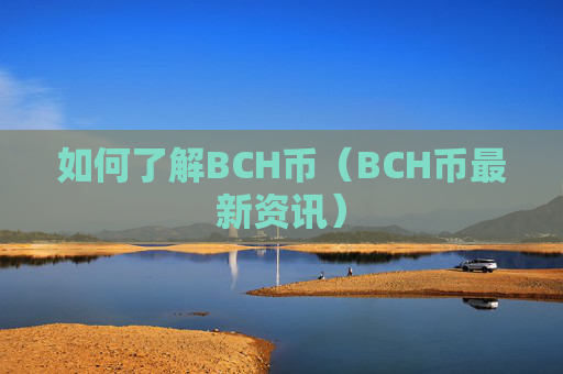如何了解BCH币（BCH币最新资讯）