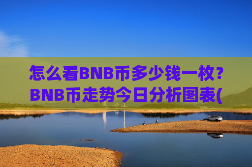 怎么看BNB币多少钱一枚?BNB币走势今日分析图表(现价4959.24元)