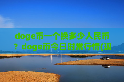 doge币一个换多少人民币？doge币今日时常行情(现价2.4778元)