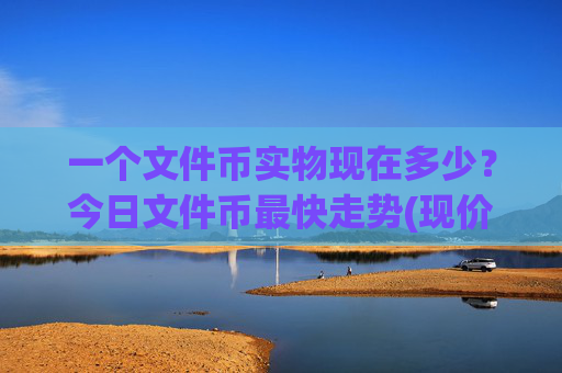 一个文件币实物现在多少？今日文件币最快走势(现价38.0987元)