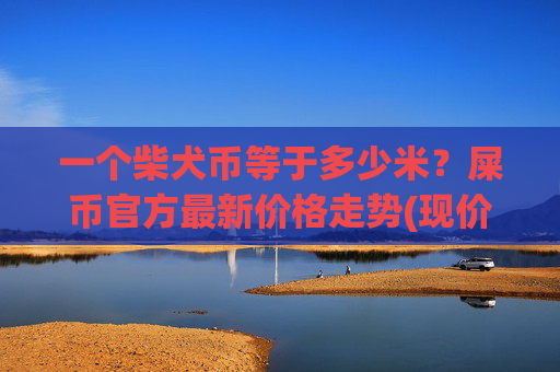 一个柴犬币等于多少米?屎币官方最新价格走势(现价0.00016733元)