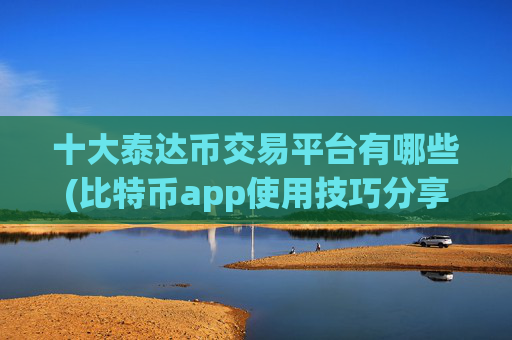 十大泰达币交易平台有哪些(比特币app使用技巧分享)