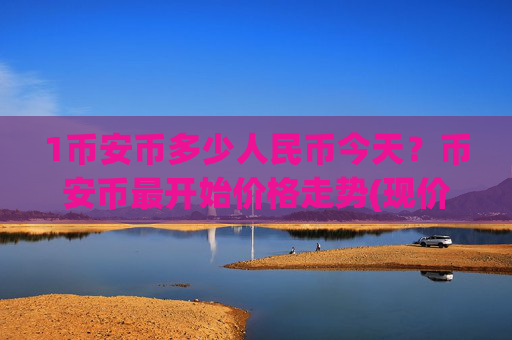 1币安币多少人民币今天?币安币最开始价格走势(现价4983.1元)