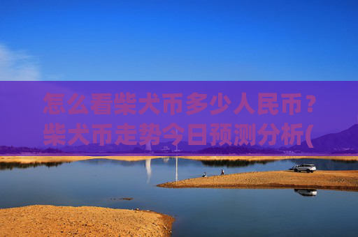 怎么看柴犬币多少人民币?柴犬币走势今日预测分析(现价0.00016806元)