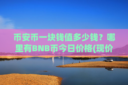 币安币一块钱值多少钱？哪里有BNB币今日价格(现价4961.8元)