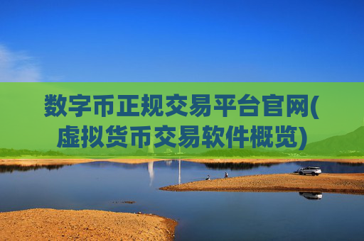 数字币正规交易平台官网(虚拟货币交易软件概览)