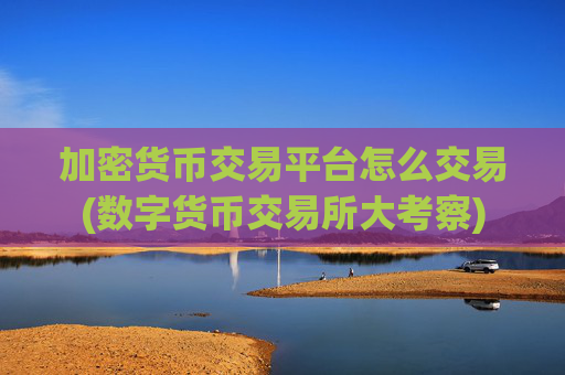 加密货币交易平台怎么交易(数字货币交易所大考察)