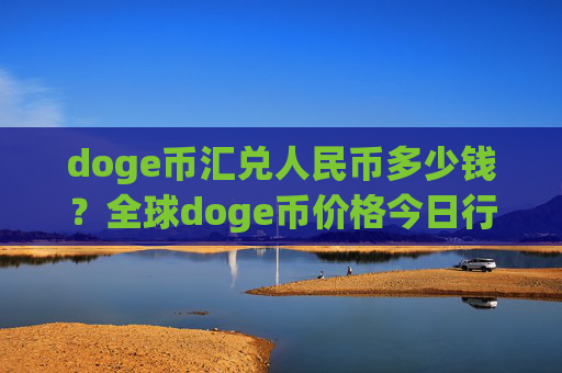 doge币汇兑人民币多少钱?全球doge币价格今日行情(现价2.45元)