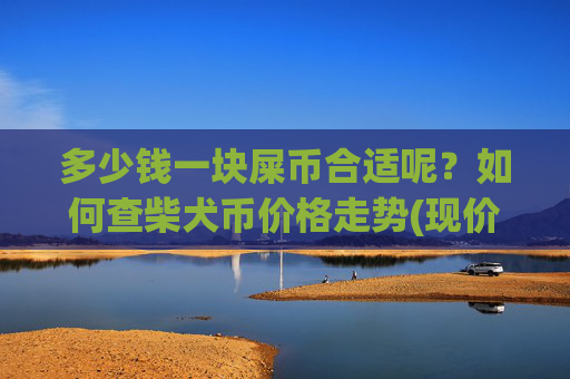 多少钱一块屎币合适呢?如何查柴犬币价格走势(现价0.00016777元)
