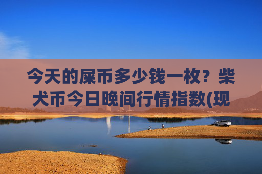 今天的屎币多少钱一枚?柴犬币今日晚间行情指数(现价0.00016792元)