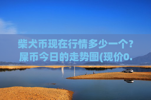 柴犬币现在行情多少一个?屎币今日的走势图(现价0.00016939元)