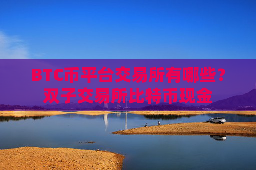 BTC币平台交易所有哪些？双子交易所比特币现金