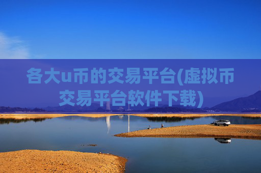 各大u币的交易平台(虚拟币交易平台软件下载)
