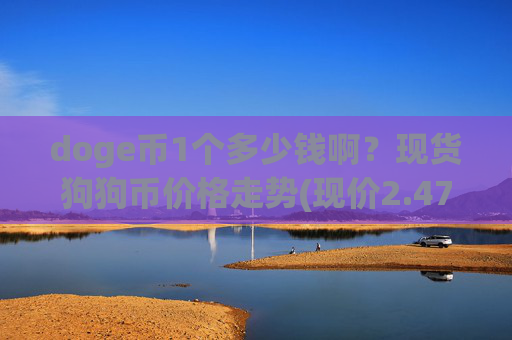 doge币1个多少钱啊？现货狗狗币价格走势(现价2.4708元)