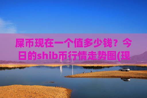 屎币现在一个值多少钱?今日的shib币行情走势图(现价0.00016952元)