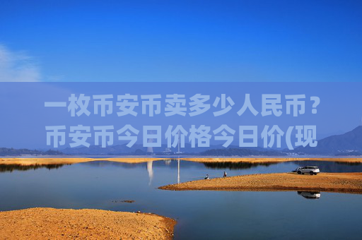 一枚币安币卖多少人民币?币安币今日价格今日价(现价4956.47元)