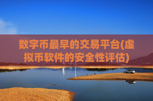数字币最早的交易平台(虚拟币软件的安全性评估)