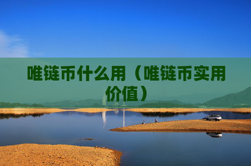 唯链币什么用(唯链币实用价值)