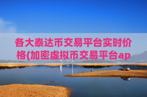 各大泰达币交易平台实时价格(加密虚拟币交易平台app)