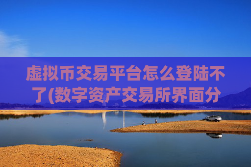 虚拟币交易平台怎么登陆不了(数字资产交易所界面分析)