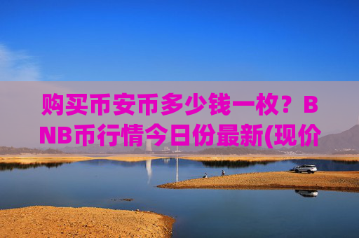 购买币安币多少钱一枚?BNB币行情今日份最新(现价4952.86元)