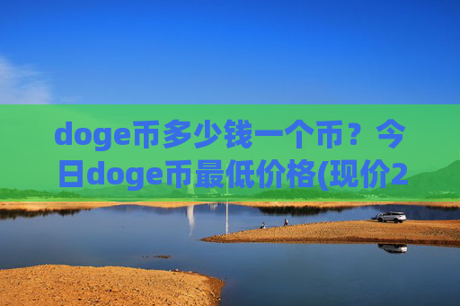 doge币多少钱一个币?今日doge币最低价格(现价2.4597元)
