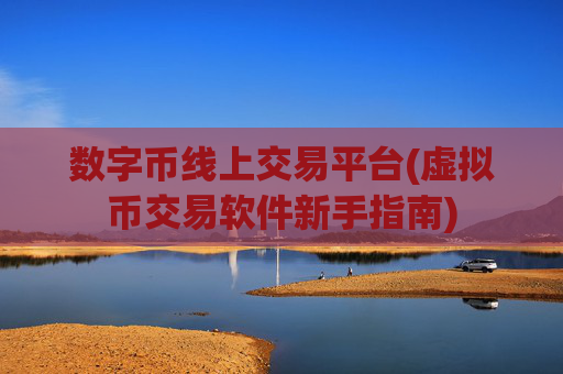 数字币线上交易平台(虚拟币交易软件新手指南)