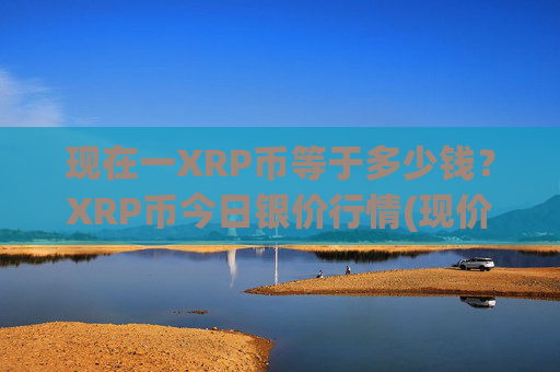 现在一XRP币等于多少钱？XRP币今日银价行情(现价16.9062元)