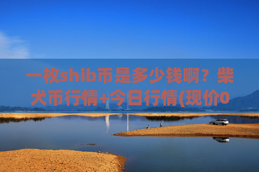 一枚shib币是多少钱啊？柴犬币行情+今日行情(现价0.00017375元)