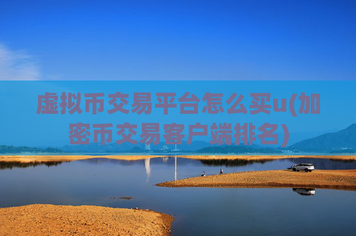 虚拟币交易平台怎么买u(加密币交易客户端排名)