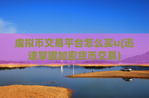 虚拟币交易平台怎么买u(迅速掌握加密货币交易)