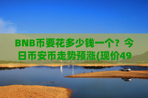 BNB币要花多少钱一个?今日币安币走势预涨(现价4969.76元)