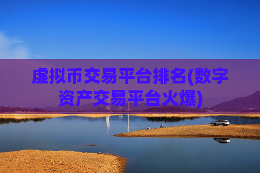 虚拟币交易平台排名(数字资产交易平台火爆)