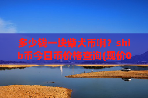 多少钱一块柴犬币啊?shib币今日币价格查询(现价0.0001739元)