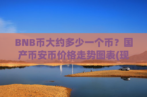 BNB币大约多少一个币?国产币安币价格走势图表(现价5035.11元)