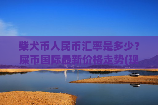 柴犬币人民币汇率是多少?屎币国际最新价格走势(现价0.00017492元)