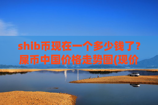 shib币现在一个多少钱了?屎币中国价格走势图(现价0.00015705元)