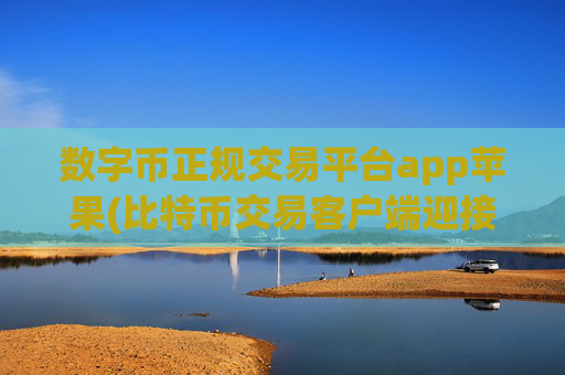 数字币正规交易平台app苹果(比特币交易客户端迎接挑战)