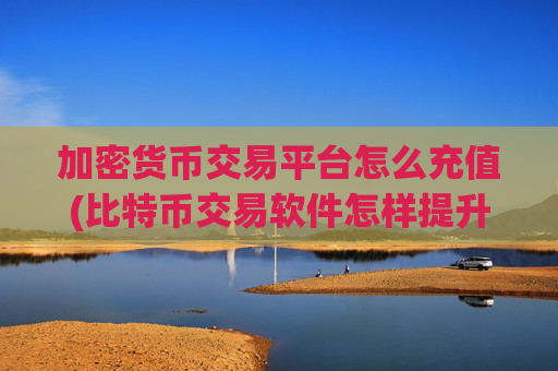 加密货币交易平台怎么充值(比特币交易软件怎样提升交易效率)